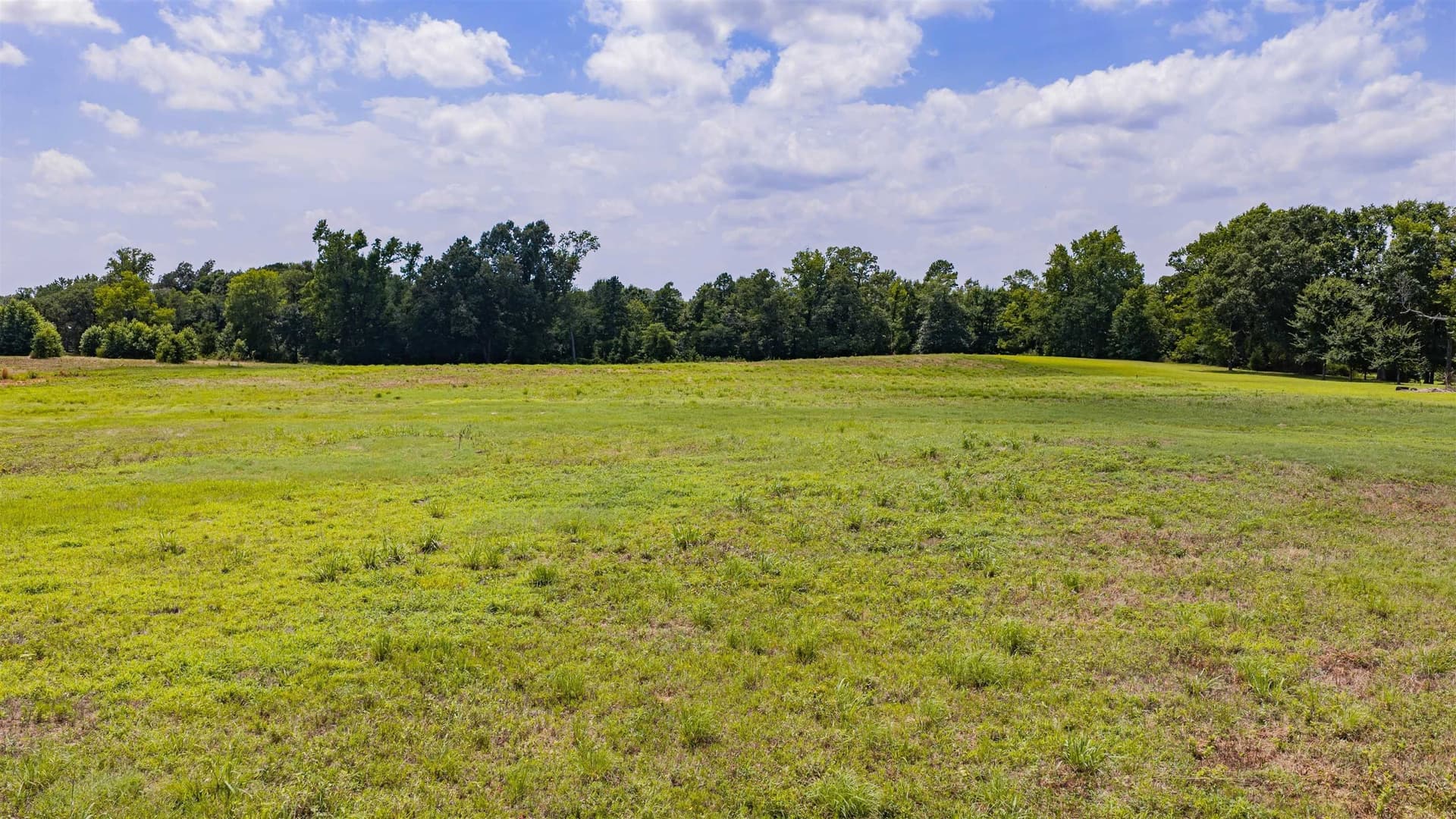6.29 acres in Upshur County gallery image 2