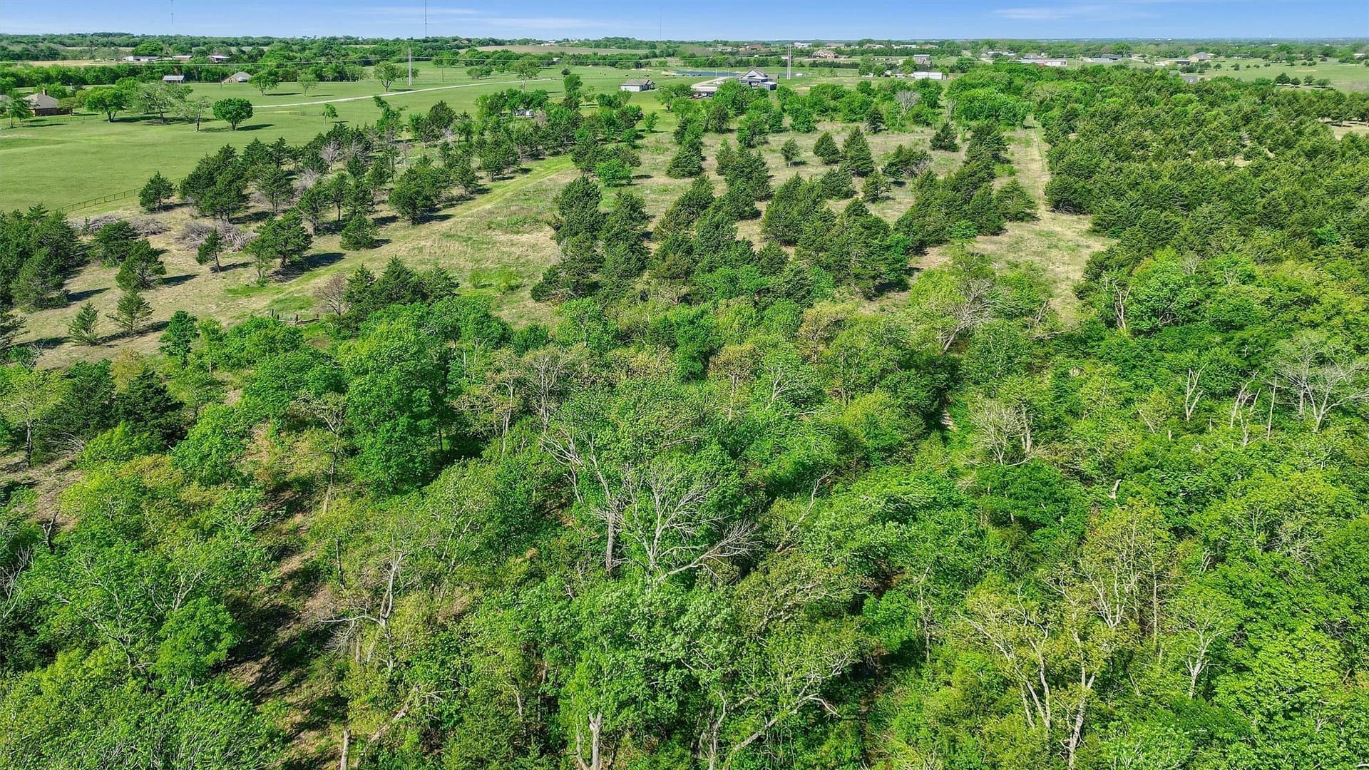 13.95 acres in Grayson County - photo 11