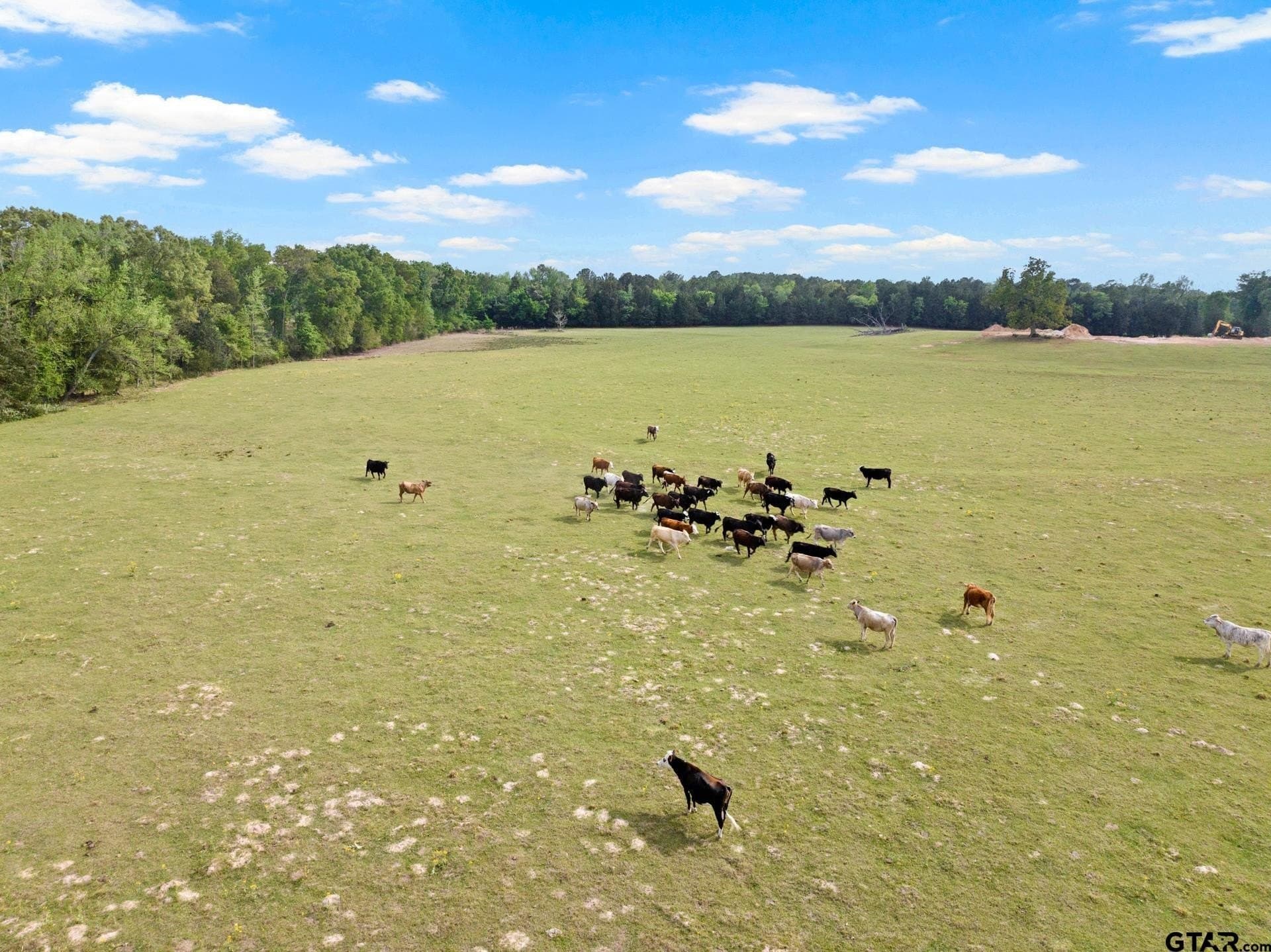 108.32 acres in Wood County - photo 44
