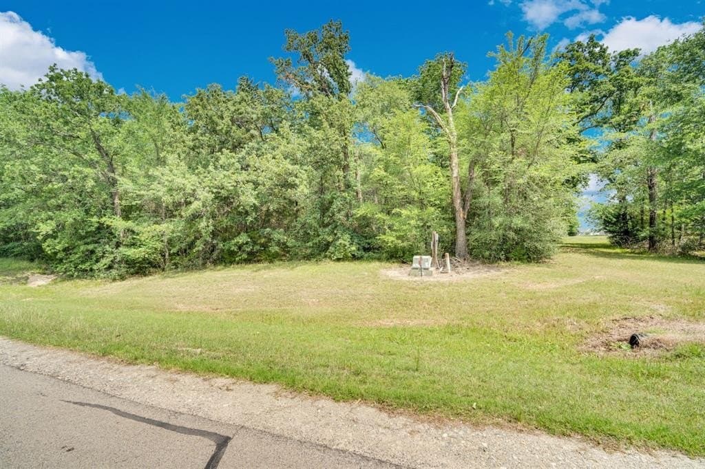 1.02 acres in Navarro County gallery image 3