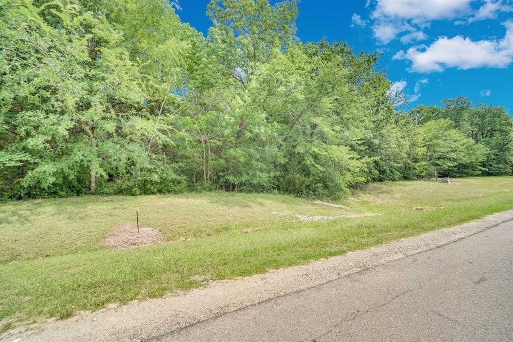 1.02 acres in Navarro County gallery image 4