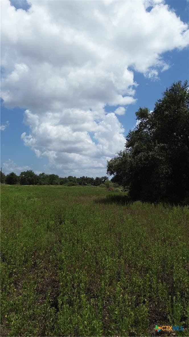 5 acres in Victoria County - photo 6