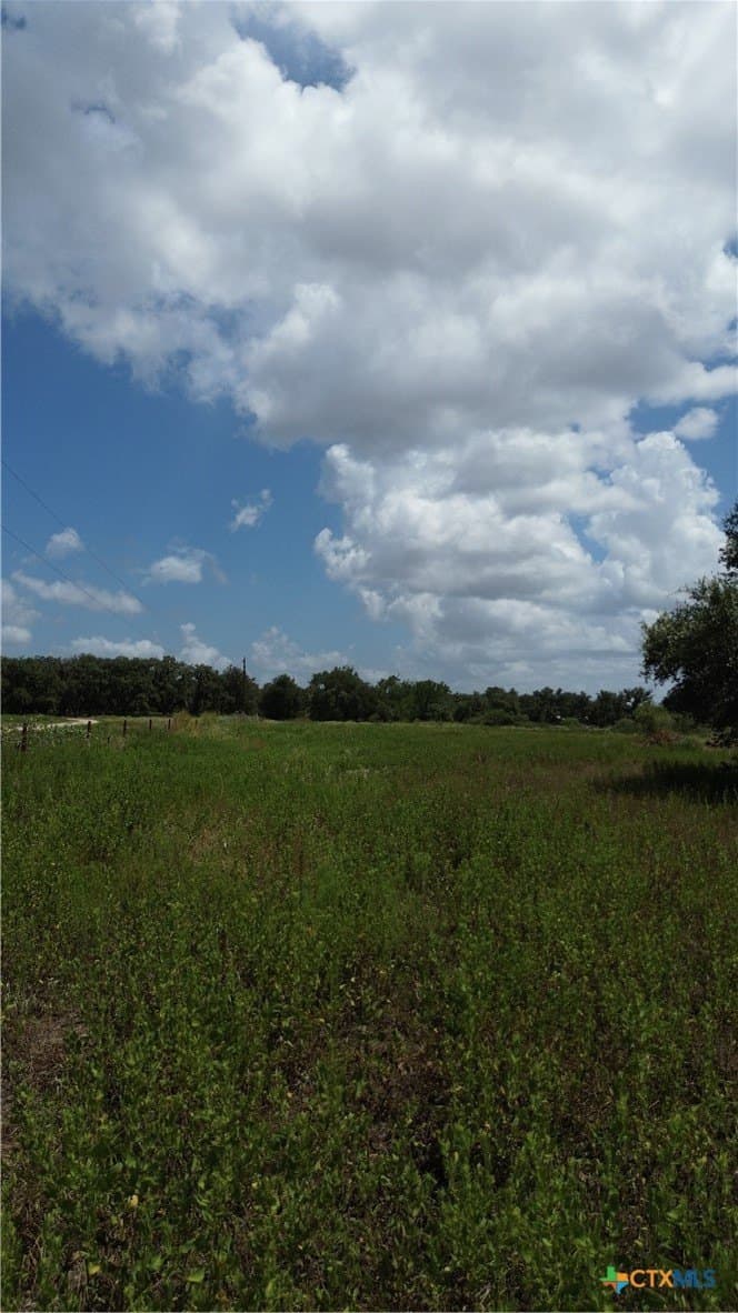 5 acres in Victoria County - photo 5