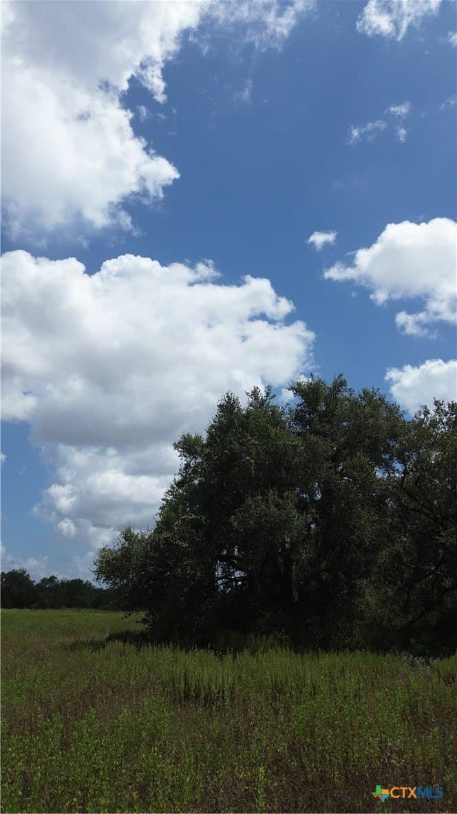 5 acres in Victoria County - photo 3