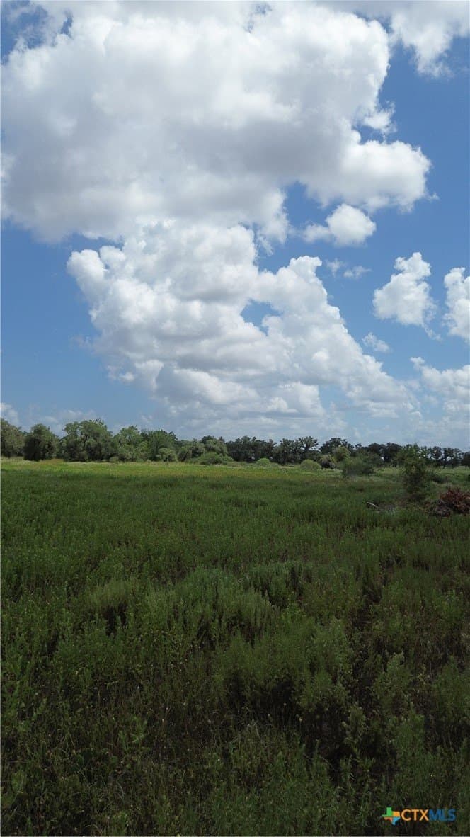 5 acres in Victoria County - photo 7