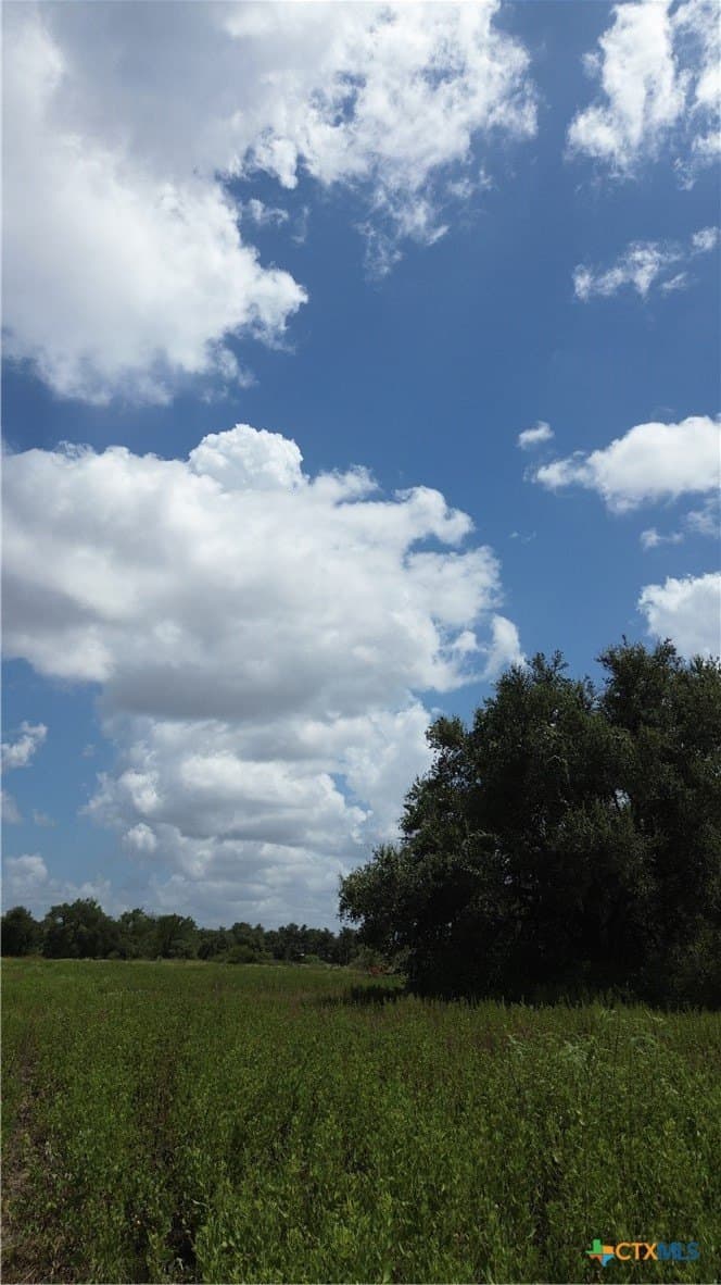 5 acres in Victoria County - photo 2