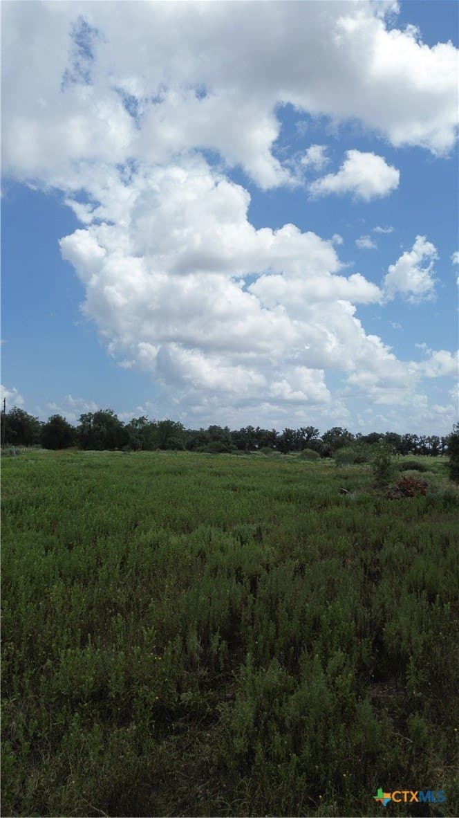 5 acres in Victoria County - photo 8