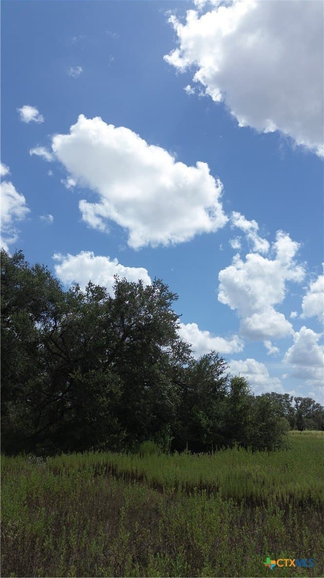 5 acres in Victoria County - photo 4