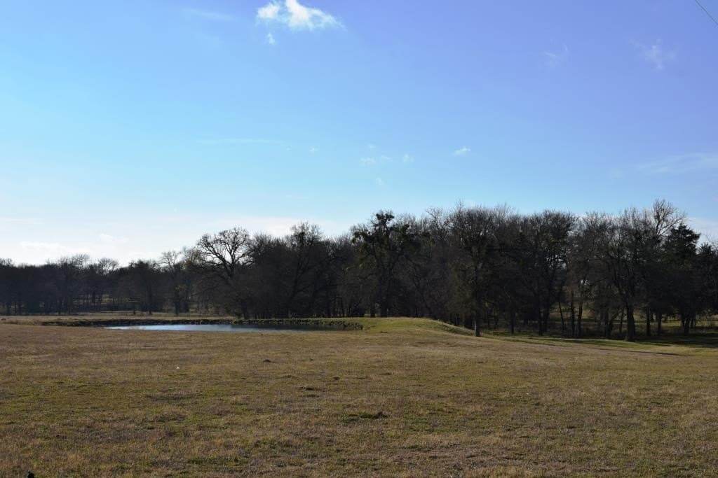 22 acres in Fannin County - photo 6