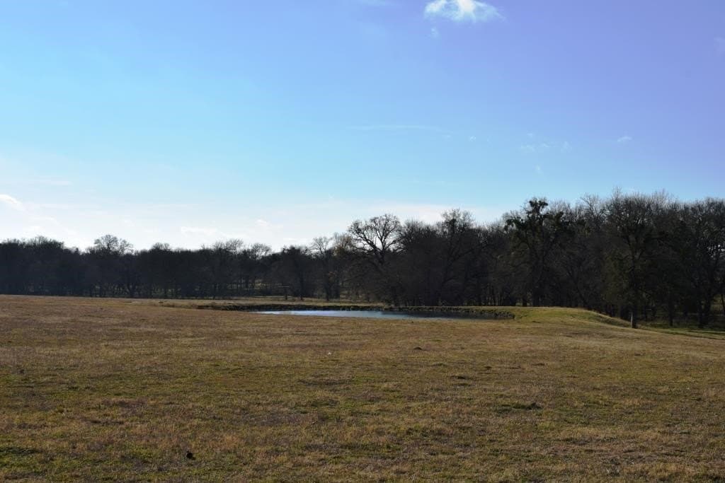 22 acres in Fannin County featured view