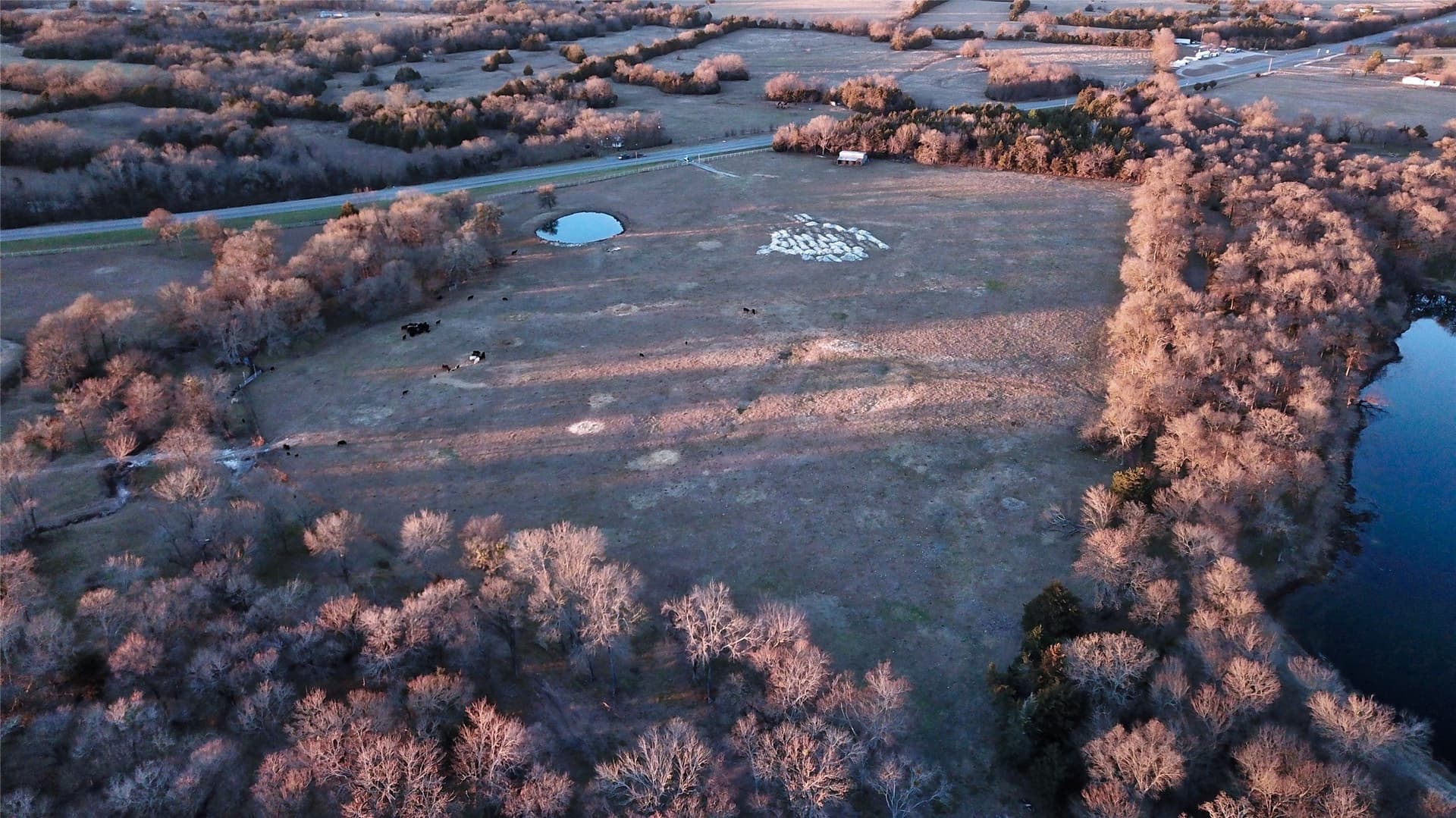 22 acres in Fannin County - photo 23