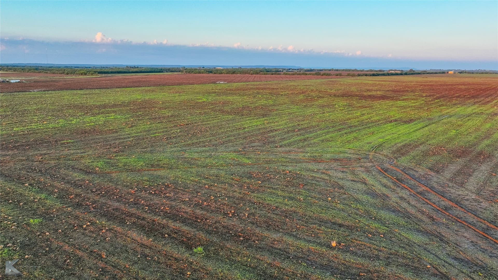 21 acres in Callahan County - photo 11
