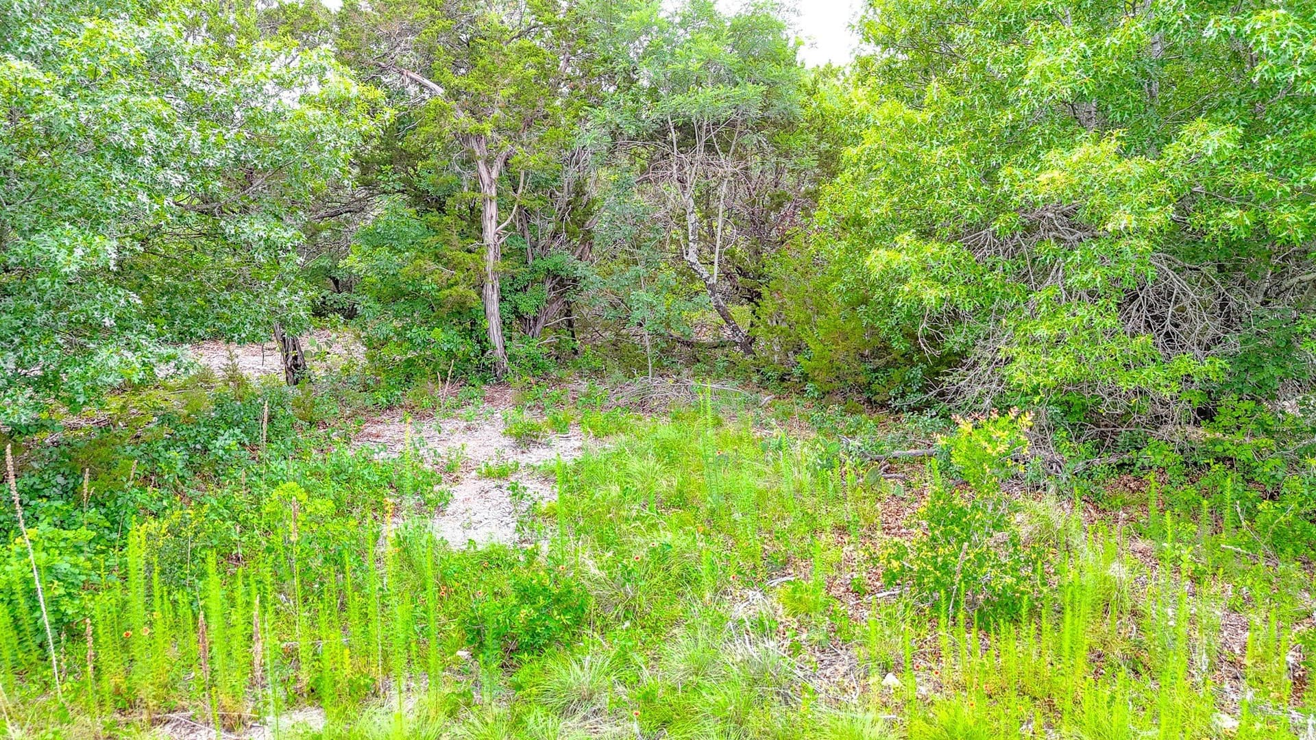 1.14 acres in Johnson County - photo 4