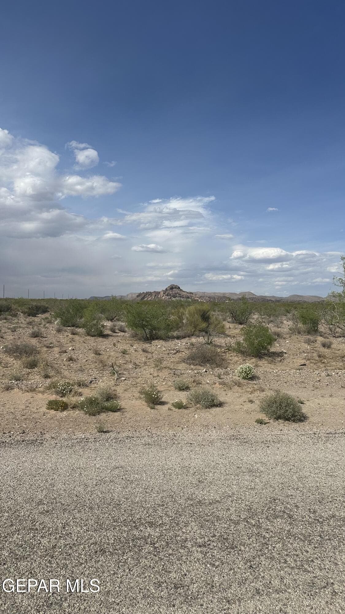 3.77 acres in El Paso County gallery image 4