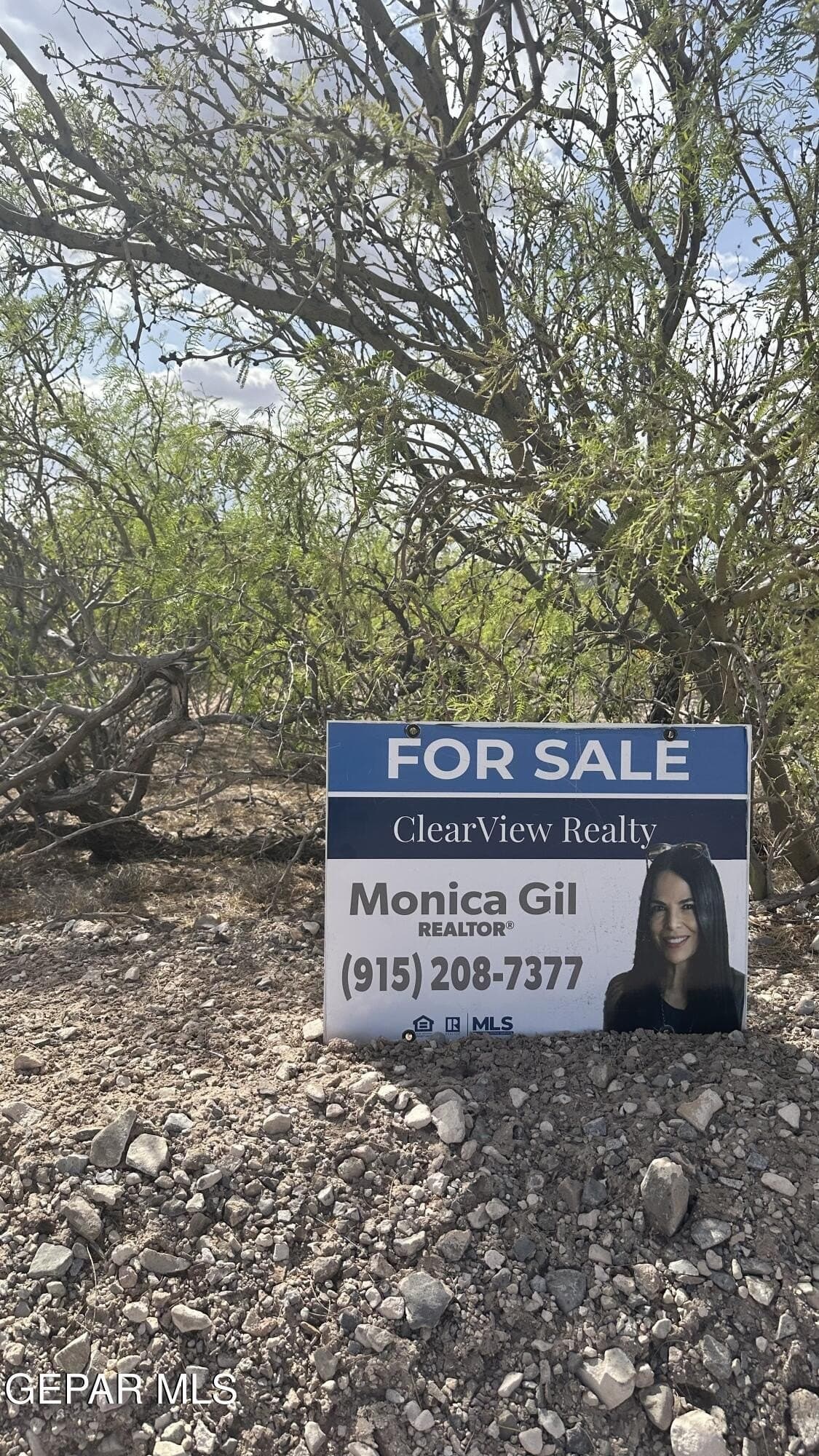 3.77 acres in El Paso County featured view