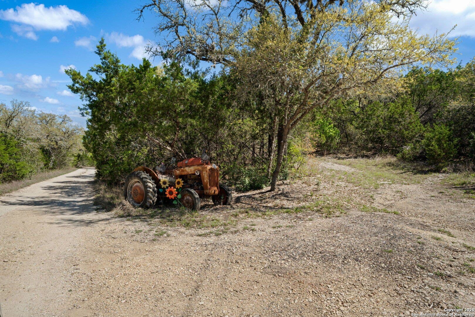 12.88 acres in Bexar County gallery image 4