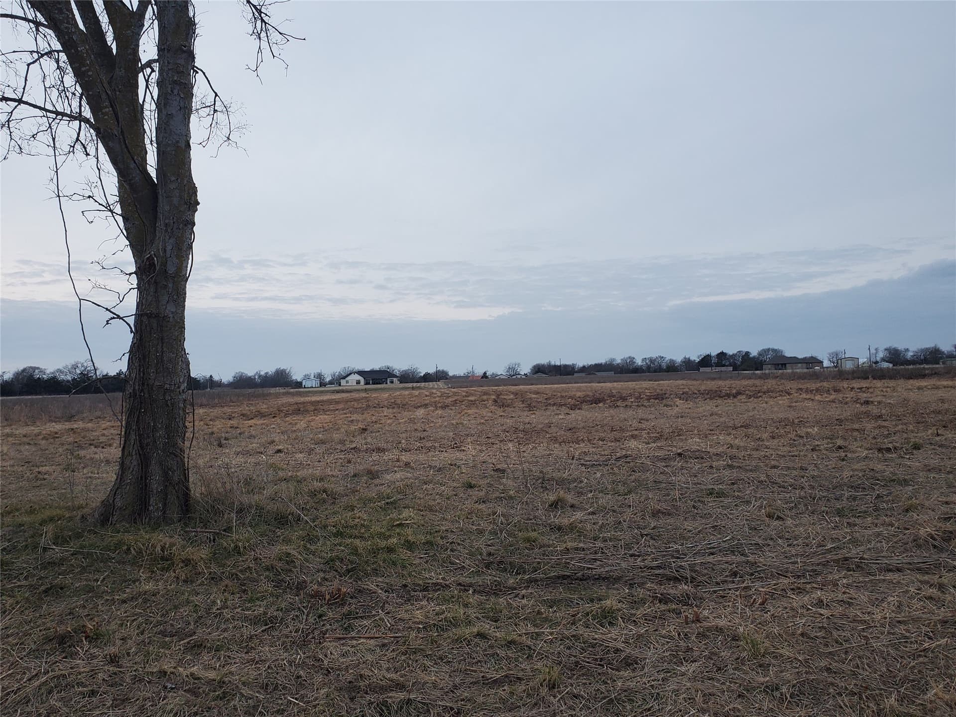 1.5 acres in Rains County - photo 7