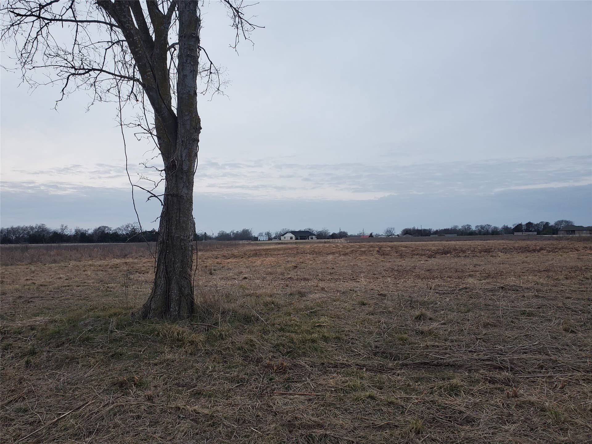 1.5 acres in Rains County