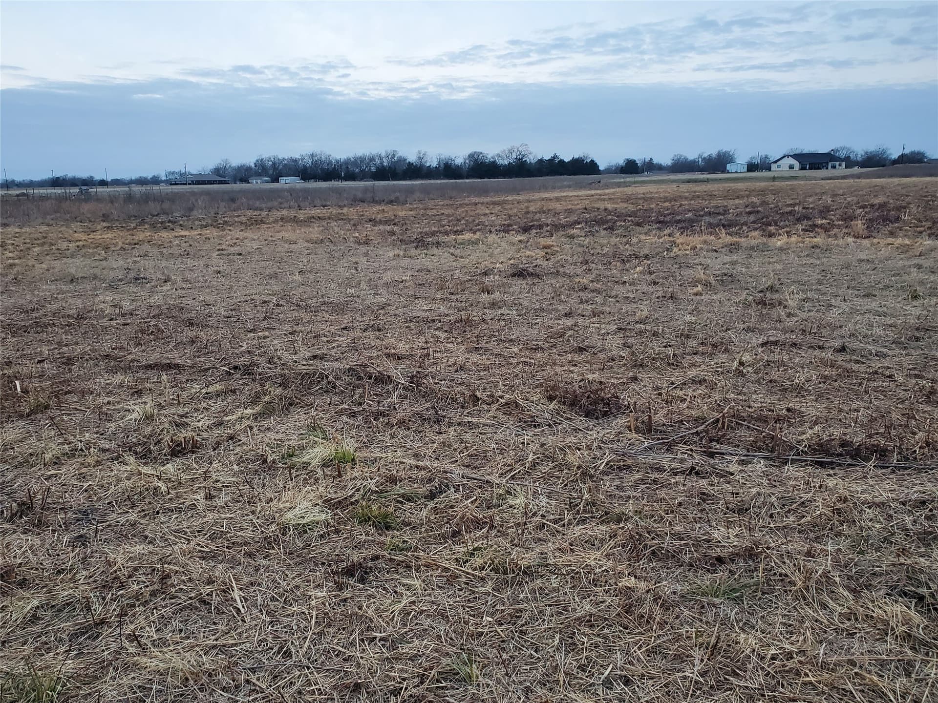 1.5 acres in Rains County gallery image 4
