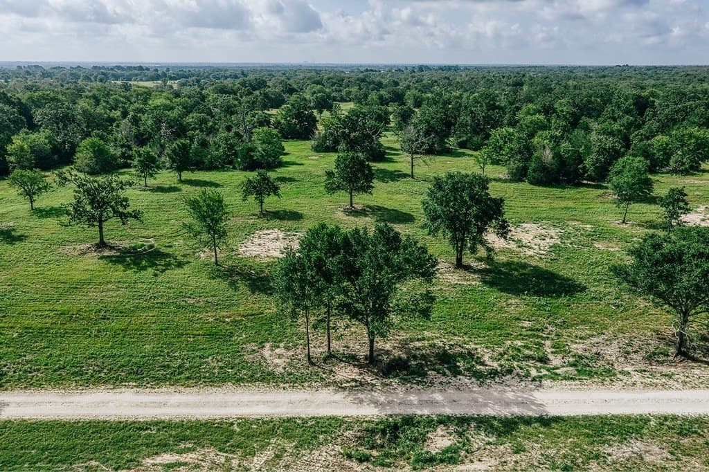 461 acres in Limestone County - photo 10
