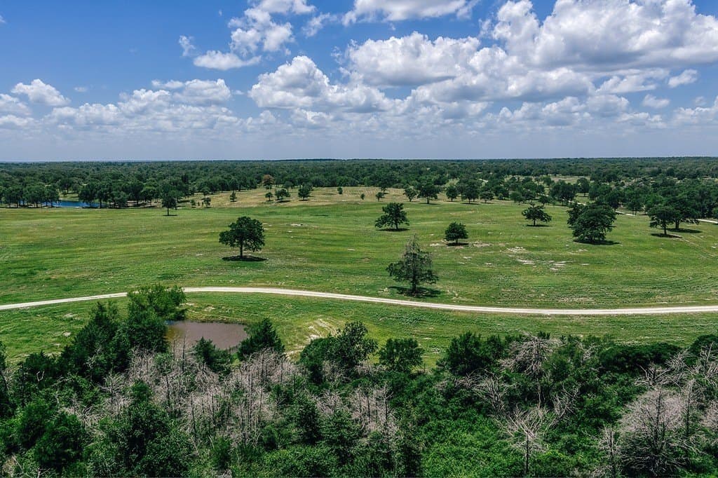 461 acres in Limestone County - photo 12
