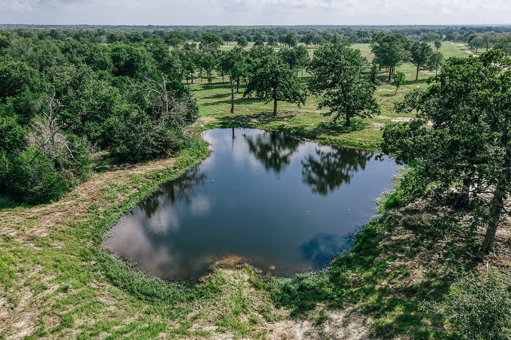 461 acres in Limestone County - photo 9