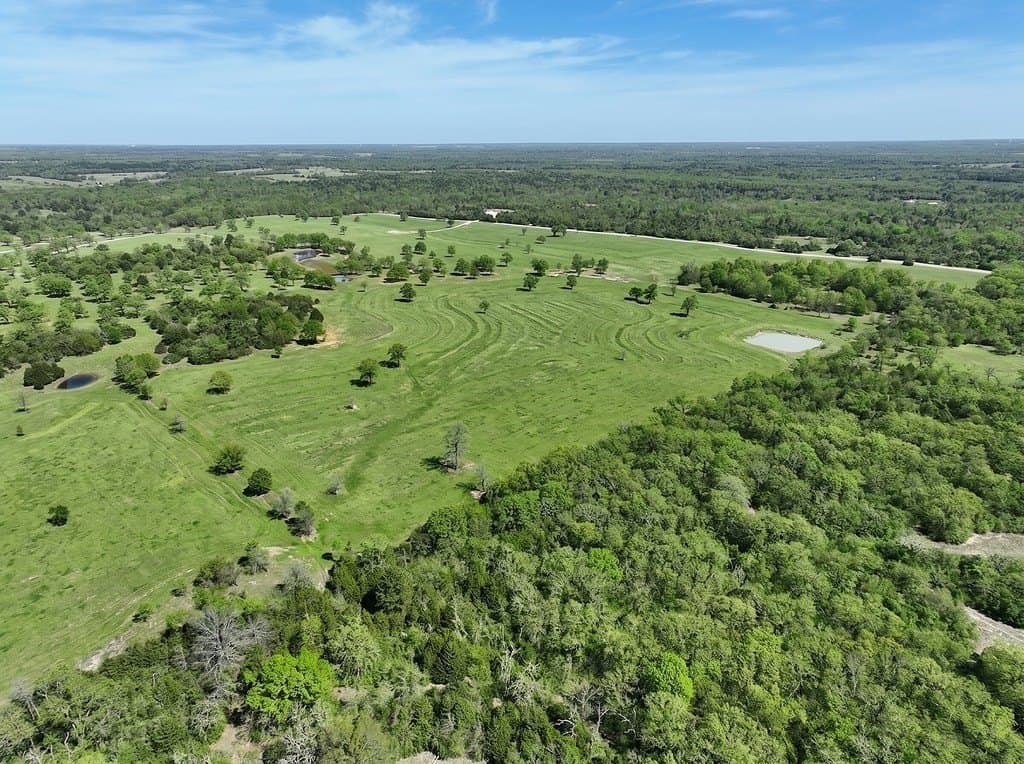 461 acres in Limestone County - photo 6