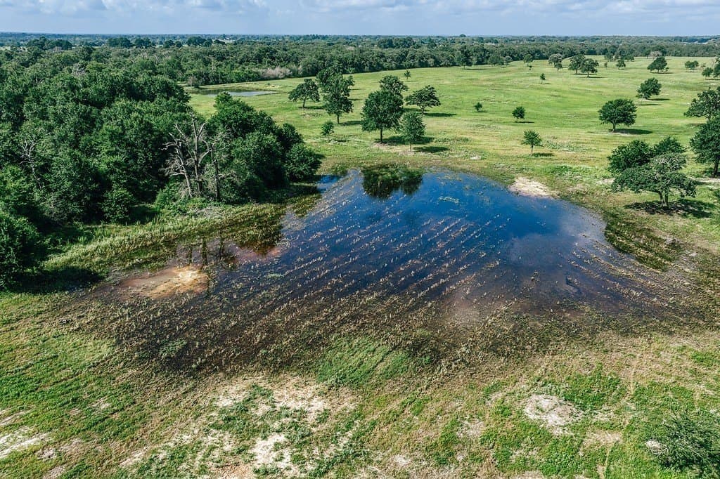 461 acres in Limestone County - photo 11