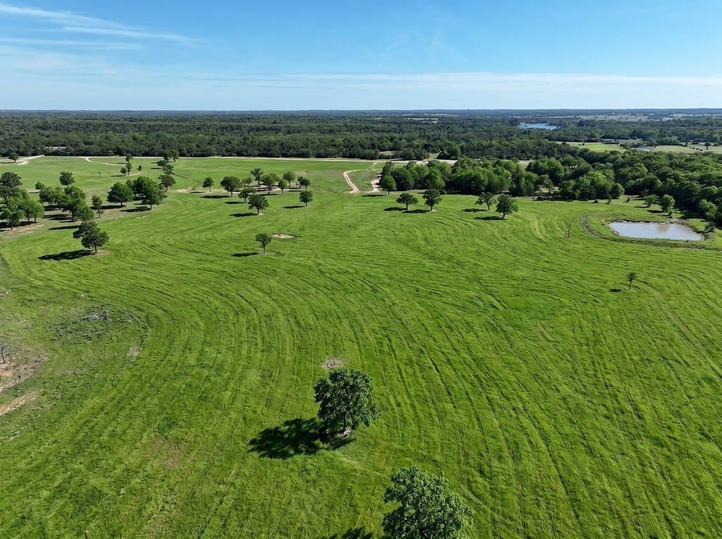 461 acres in Limestone County featured view