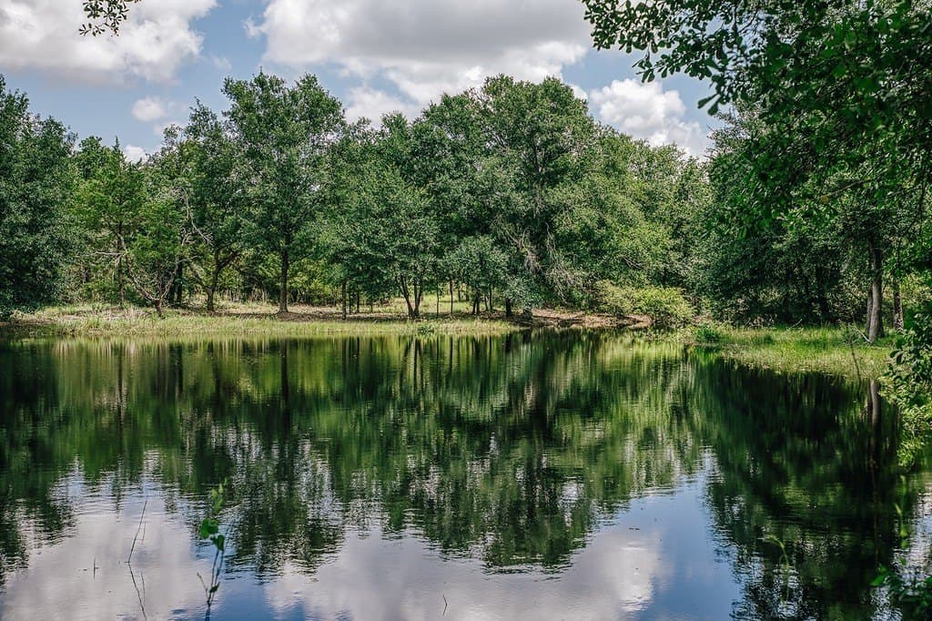 461 acres in Limestone County - photo 5