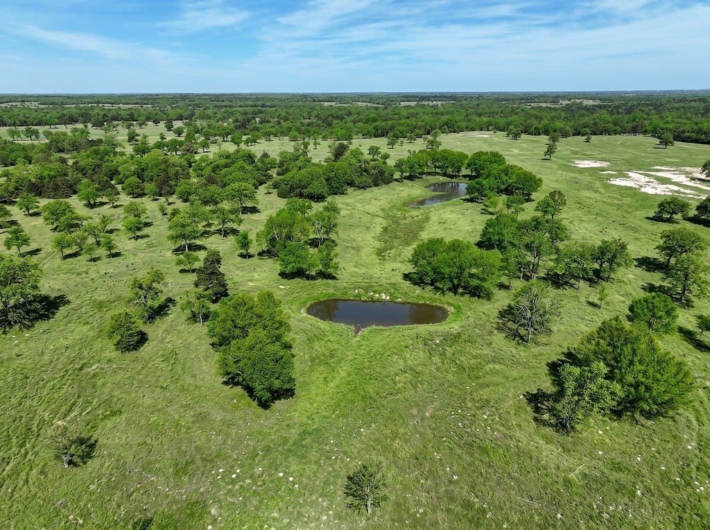 461 acres in Limestone County - photo 7