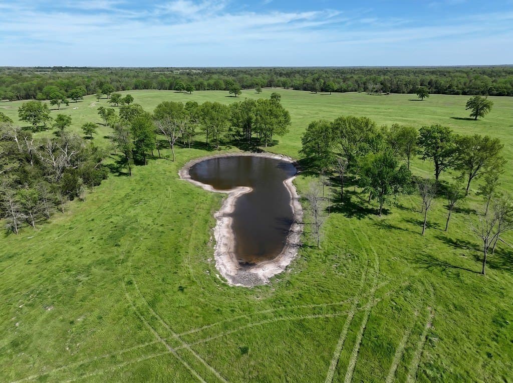 461 acres in Limestone County