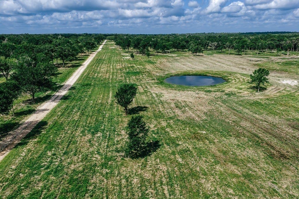 461 acres in Limestone County - photo 7