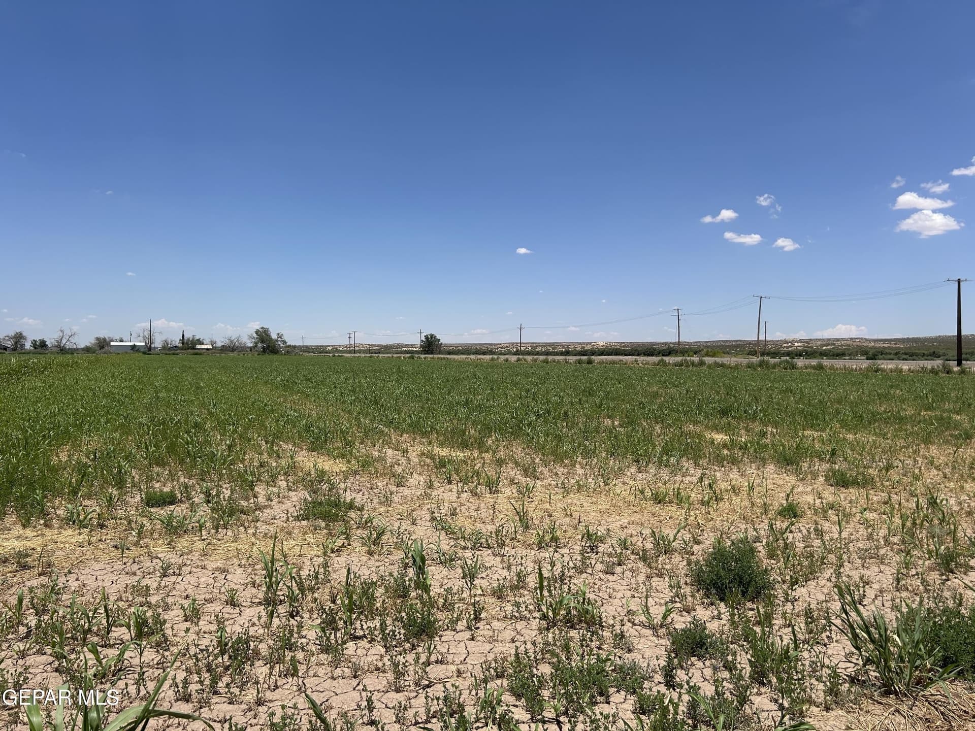 106.59 acres in Hudspeth County gallery image 3