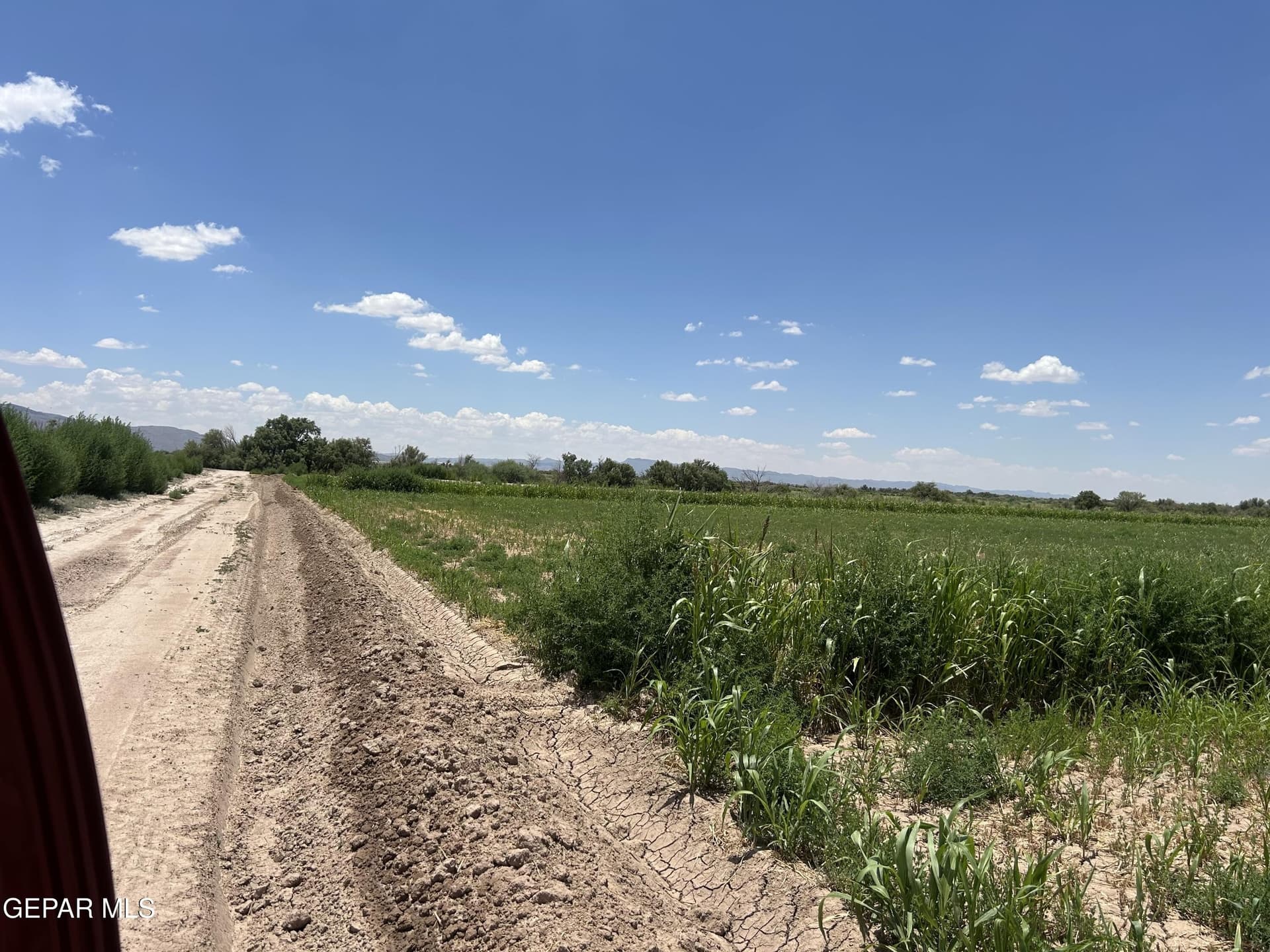 106.59 acres in Hudspeth County featured view