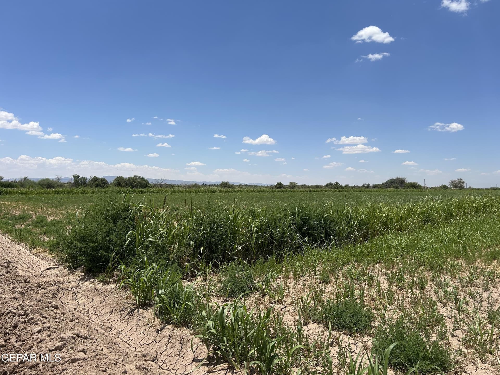 106.59 acres in Hudspeth County gallery image 4