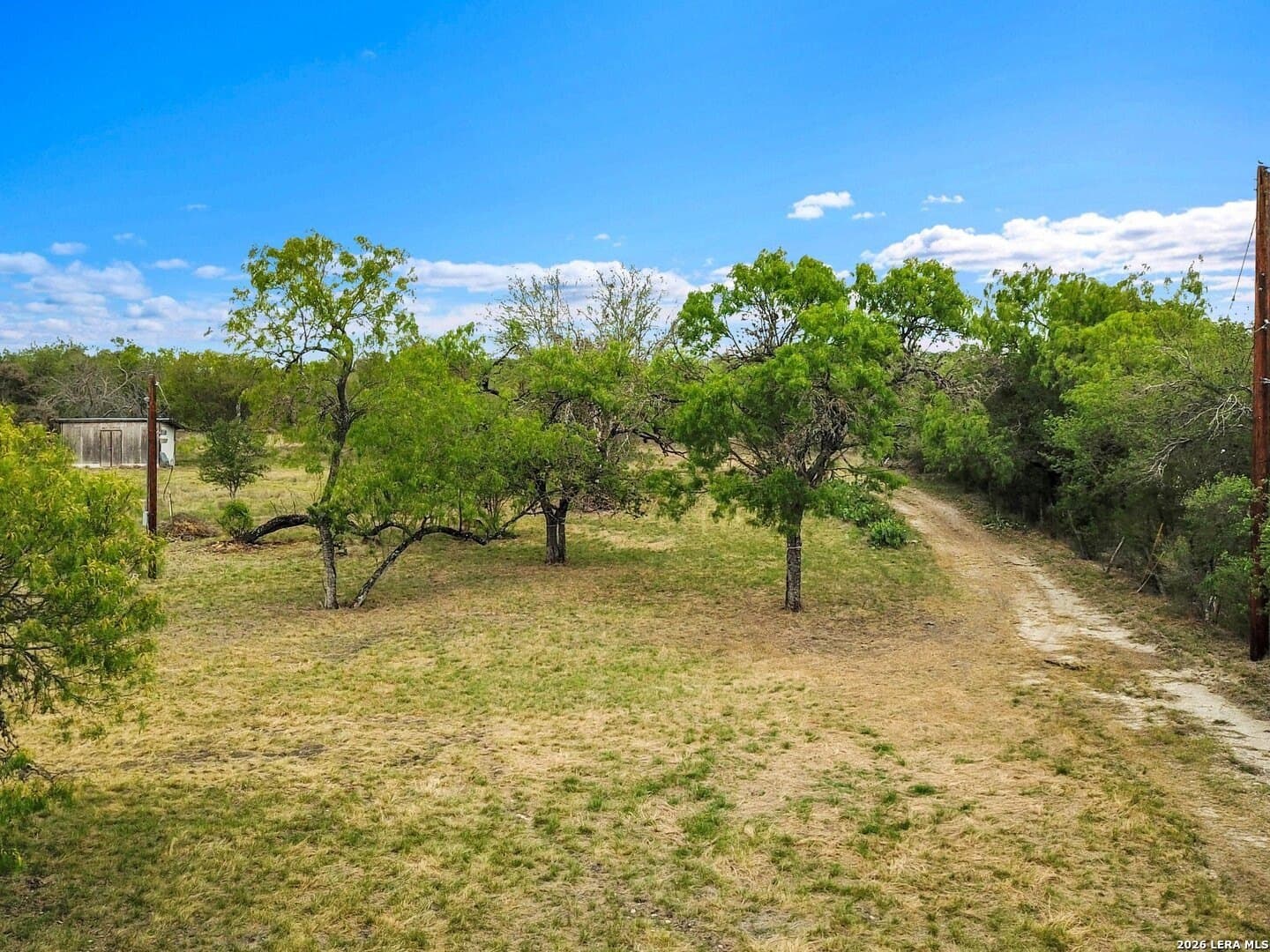 5 acres in Bexar County - photo 11