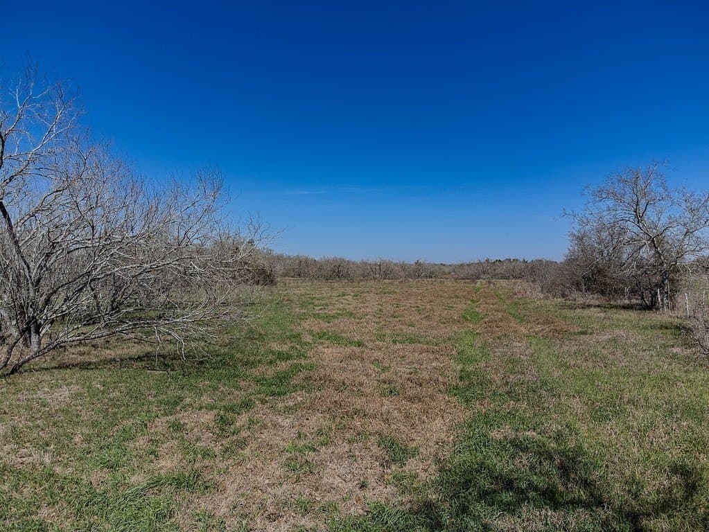 48 acres in Fayette County - photo 17