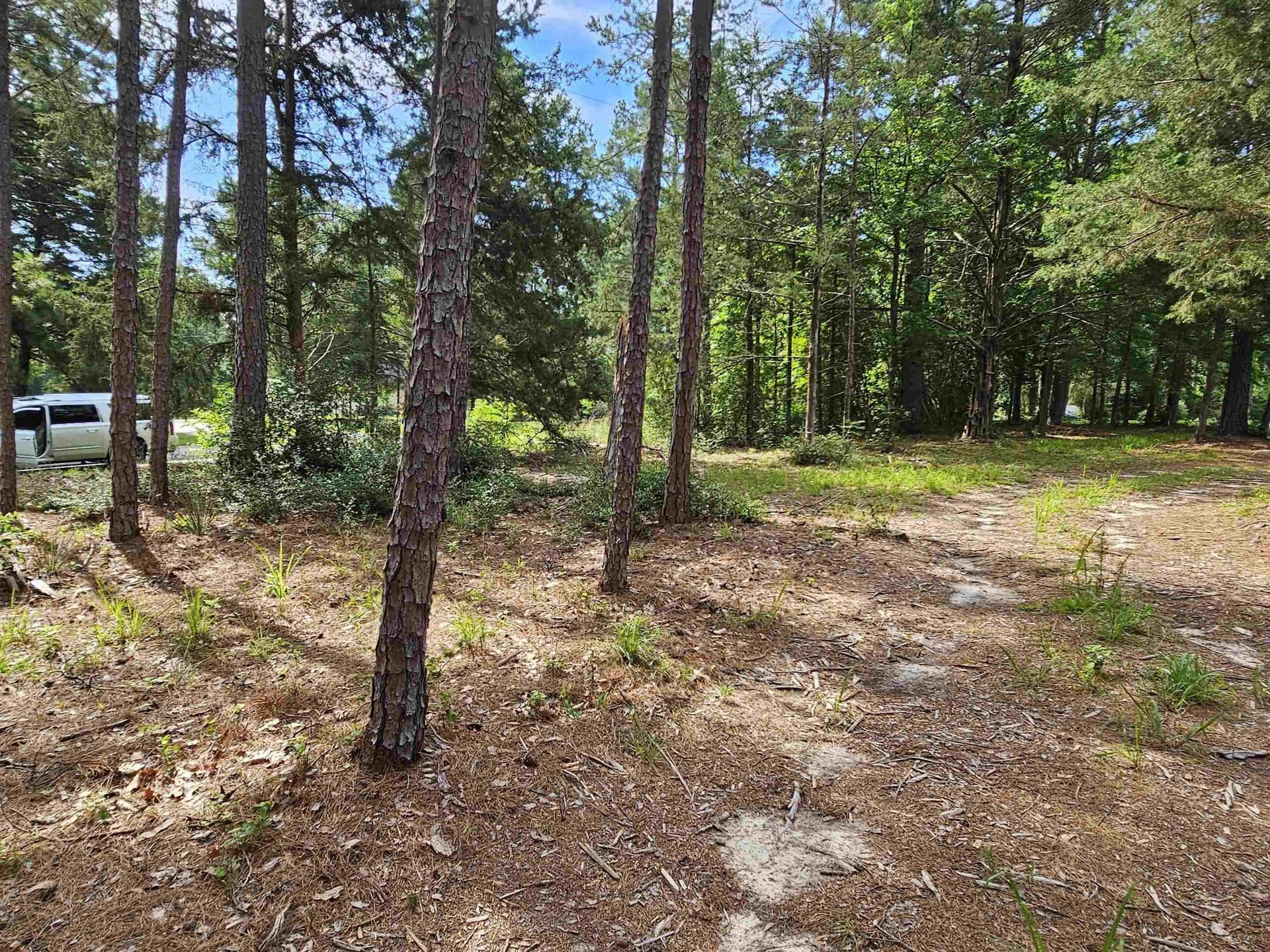 0.36 acres in Wood County - photo 8