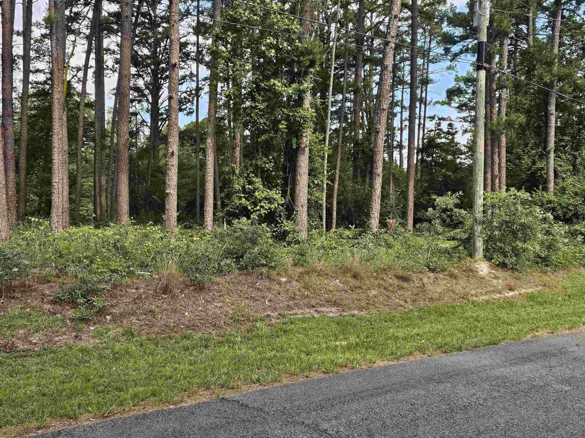 0.36 acres in Wood County - photo 7