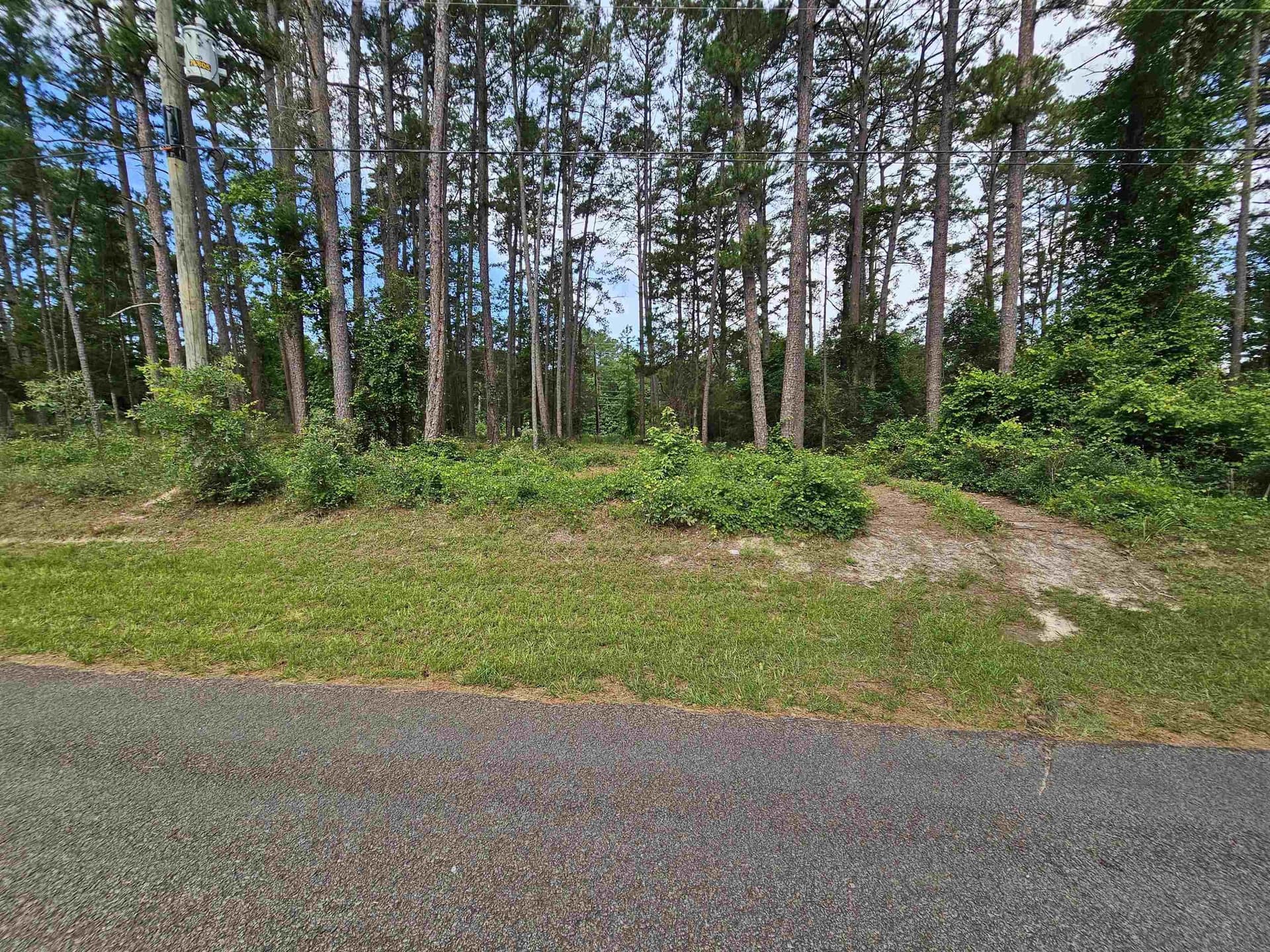 0.36 acres in Wood County - photo 10