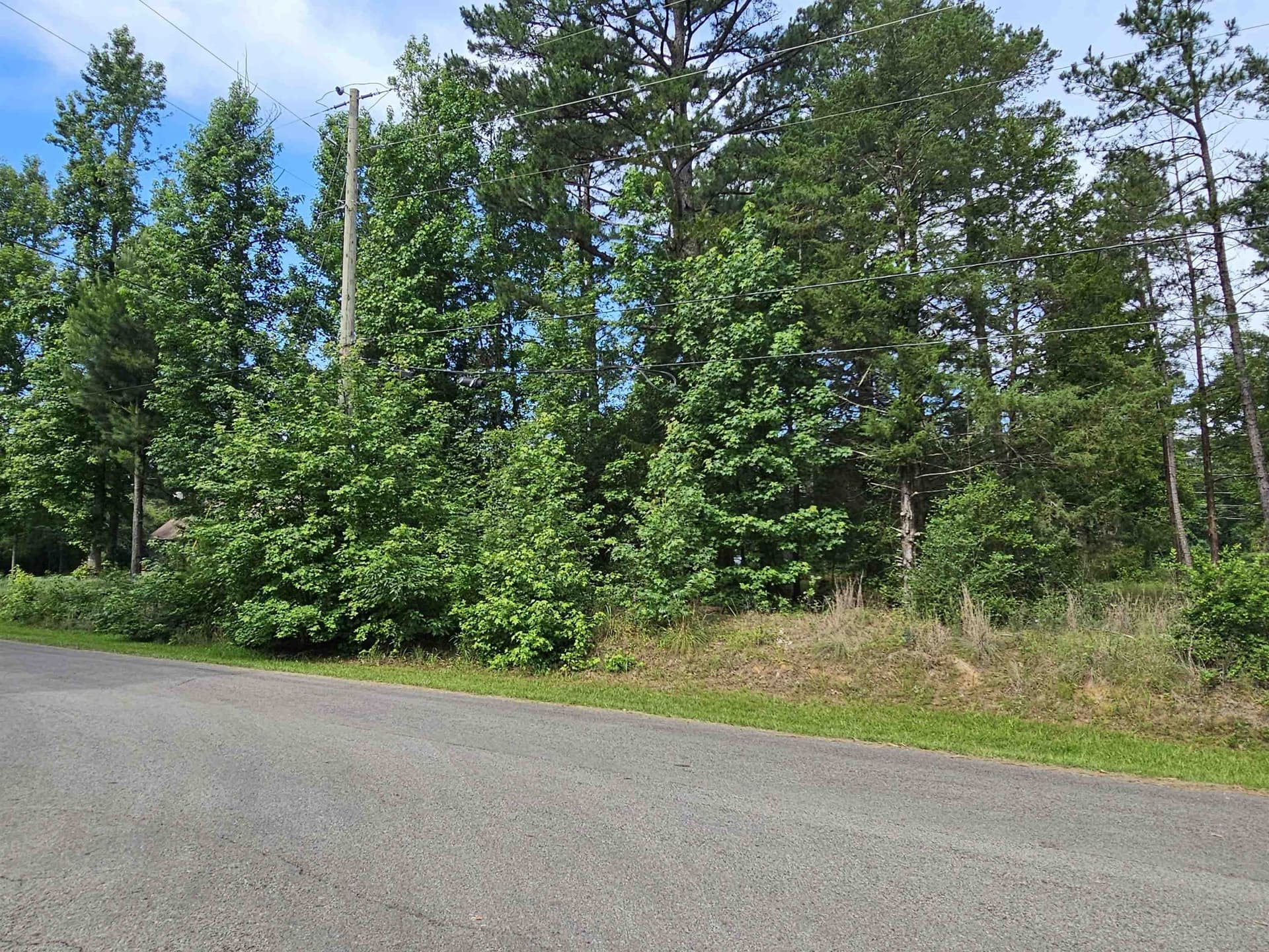 0.36 acres in Wood County - photo 12