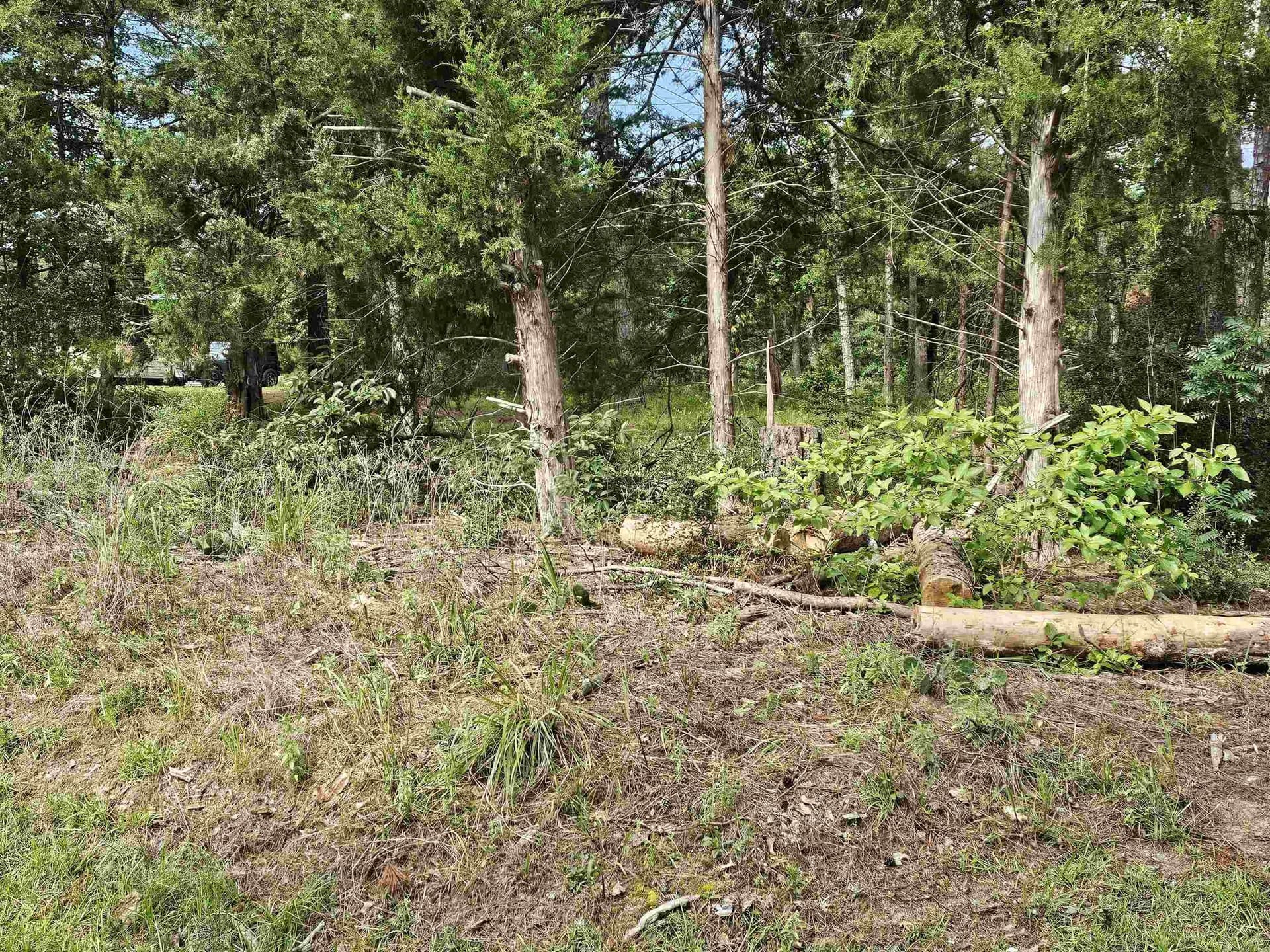 0.36 acres in Wood County - photo 6