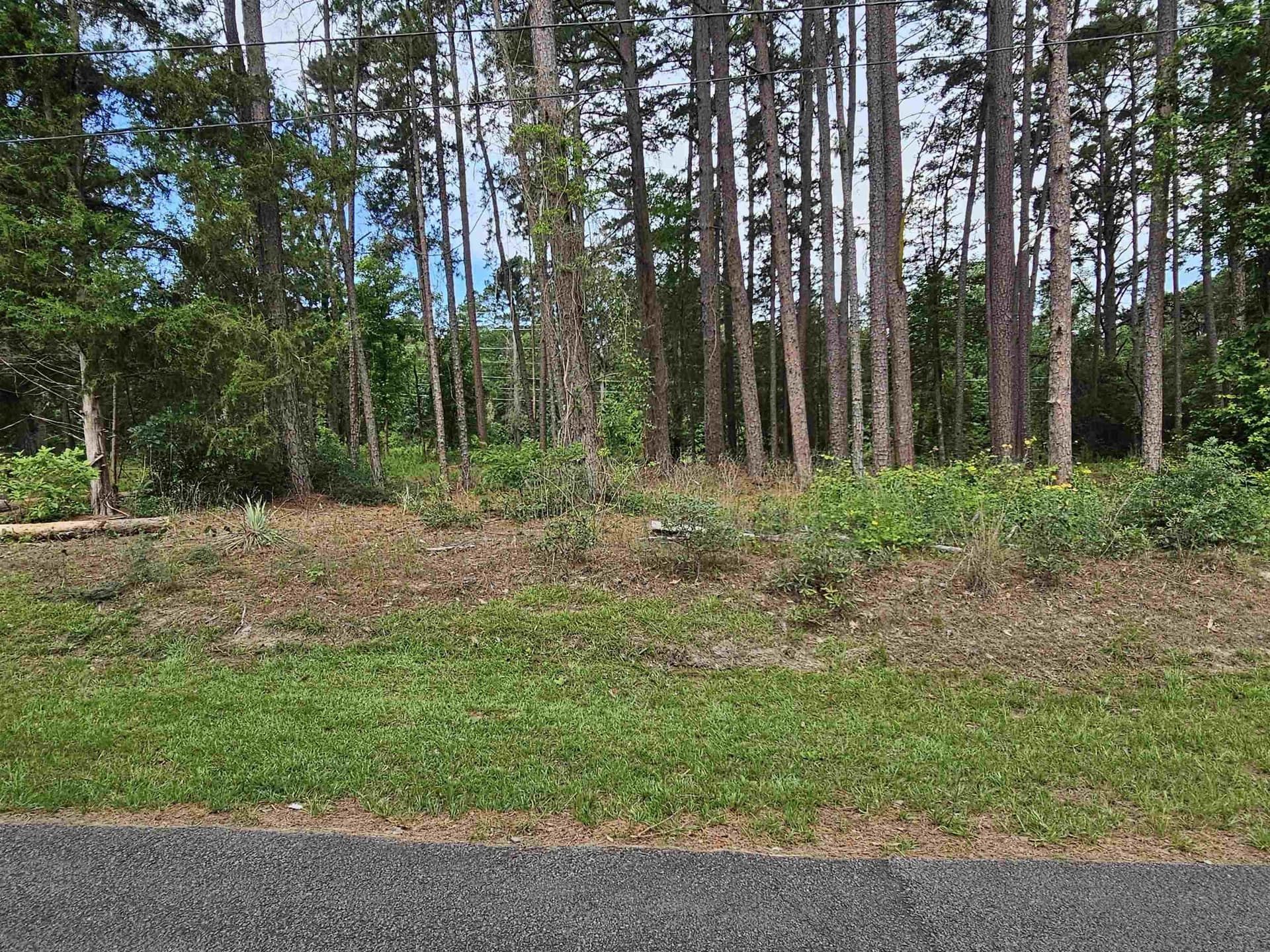 0.36 acres in Wood County - photo 11