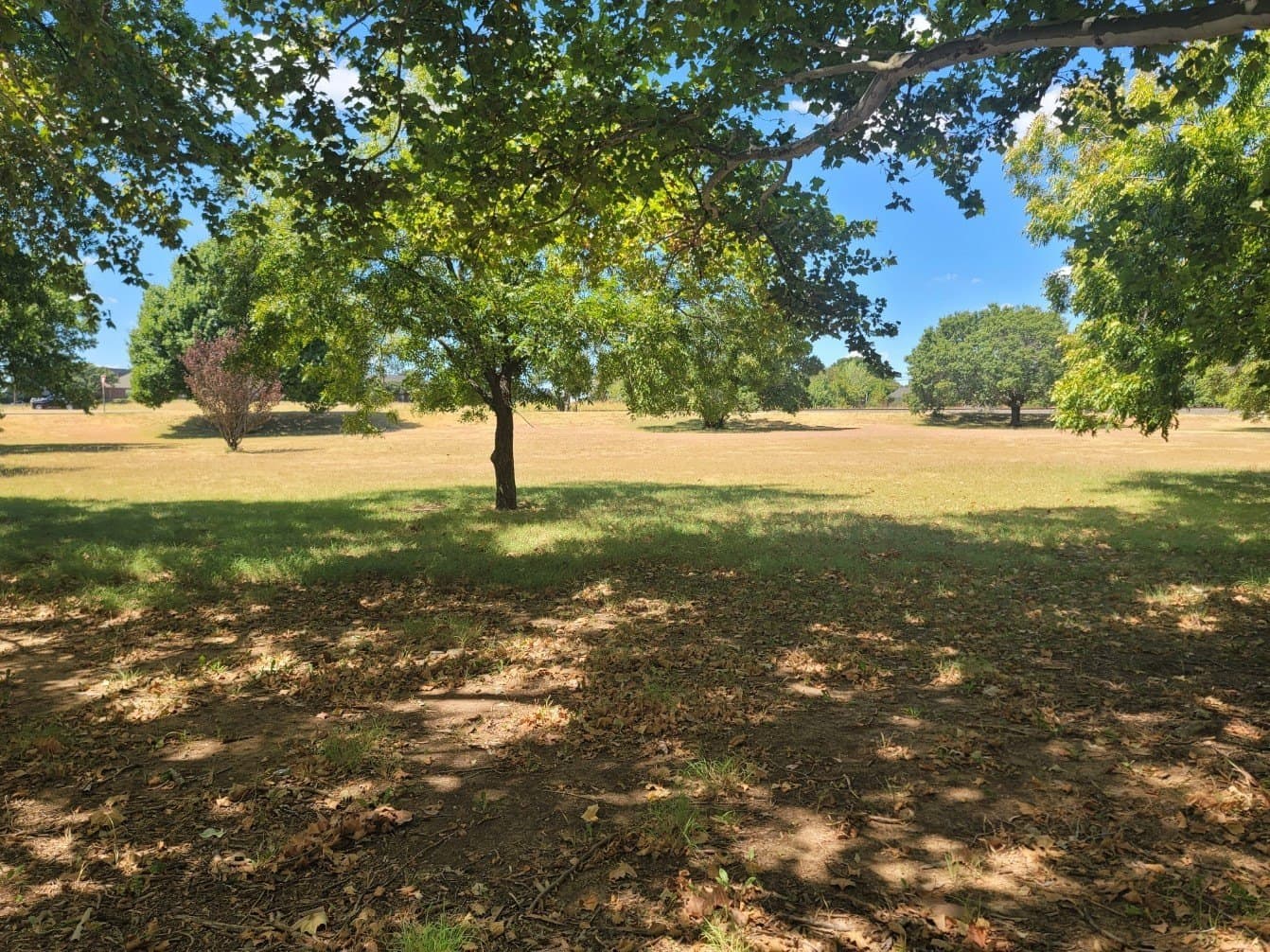 1.28 acres in Dallas County - photo 4
