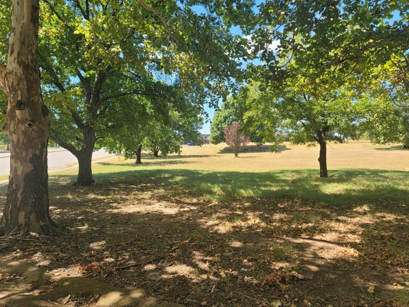 1.28 acres in Dallas County - photo 3