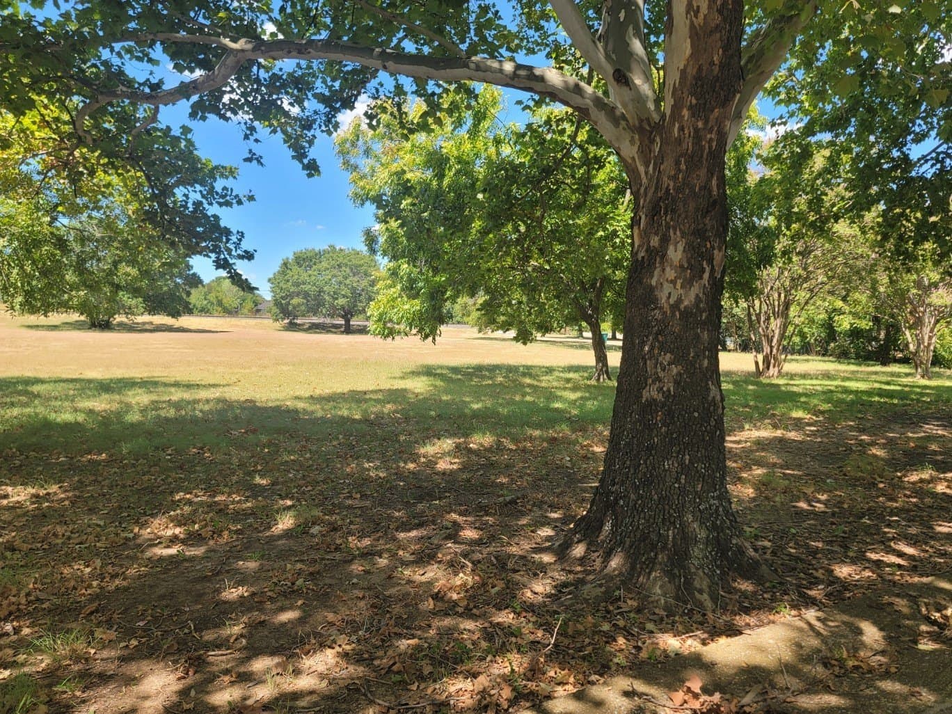 1.28 acres in Dallas County - photo 5