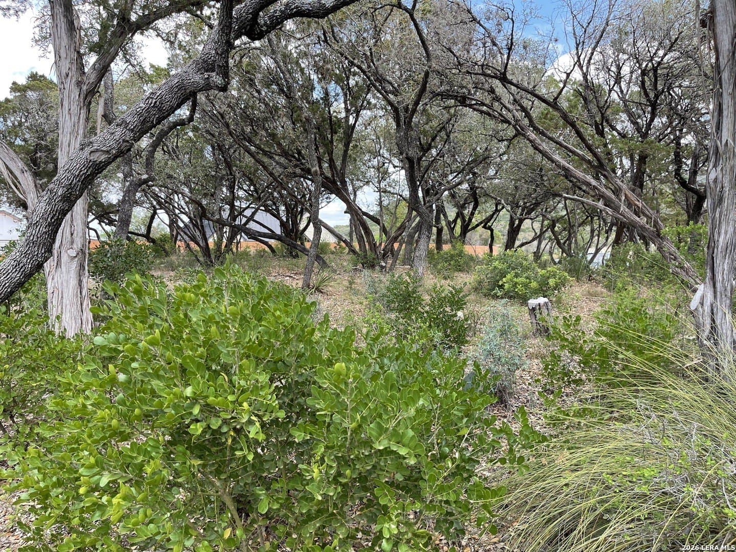 0.78 acres in Bandera County gallery image 4