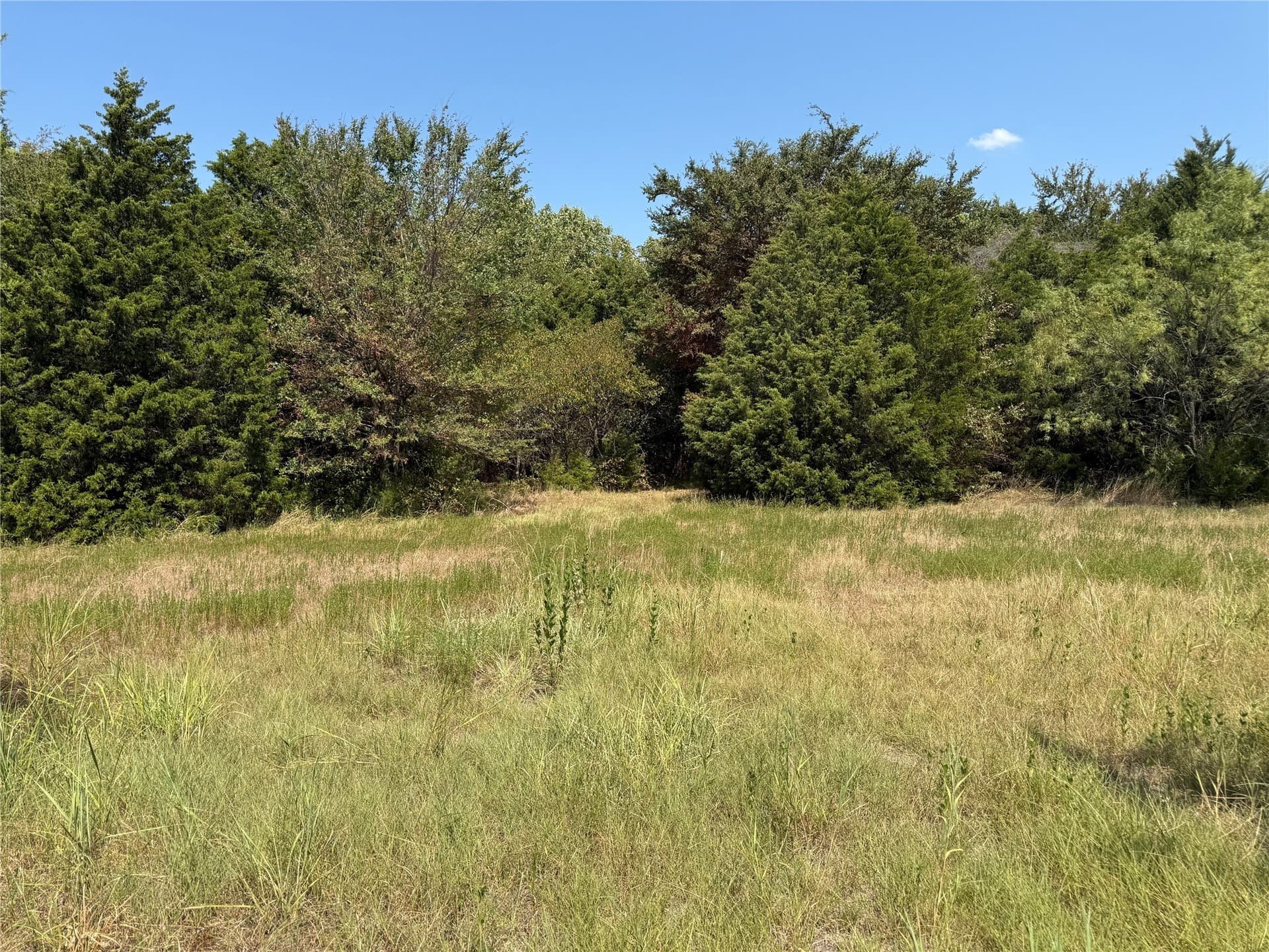 21.43 acres in Van Zandt County