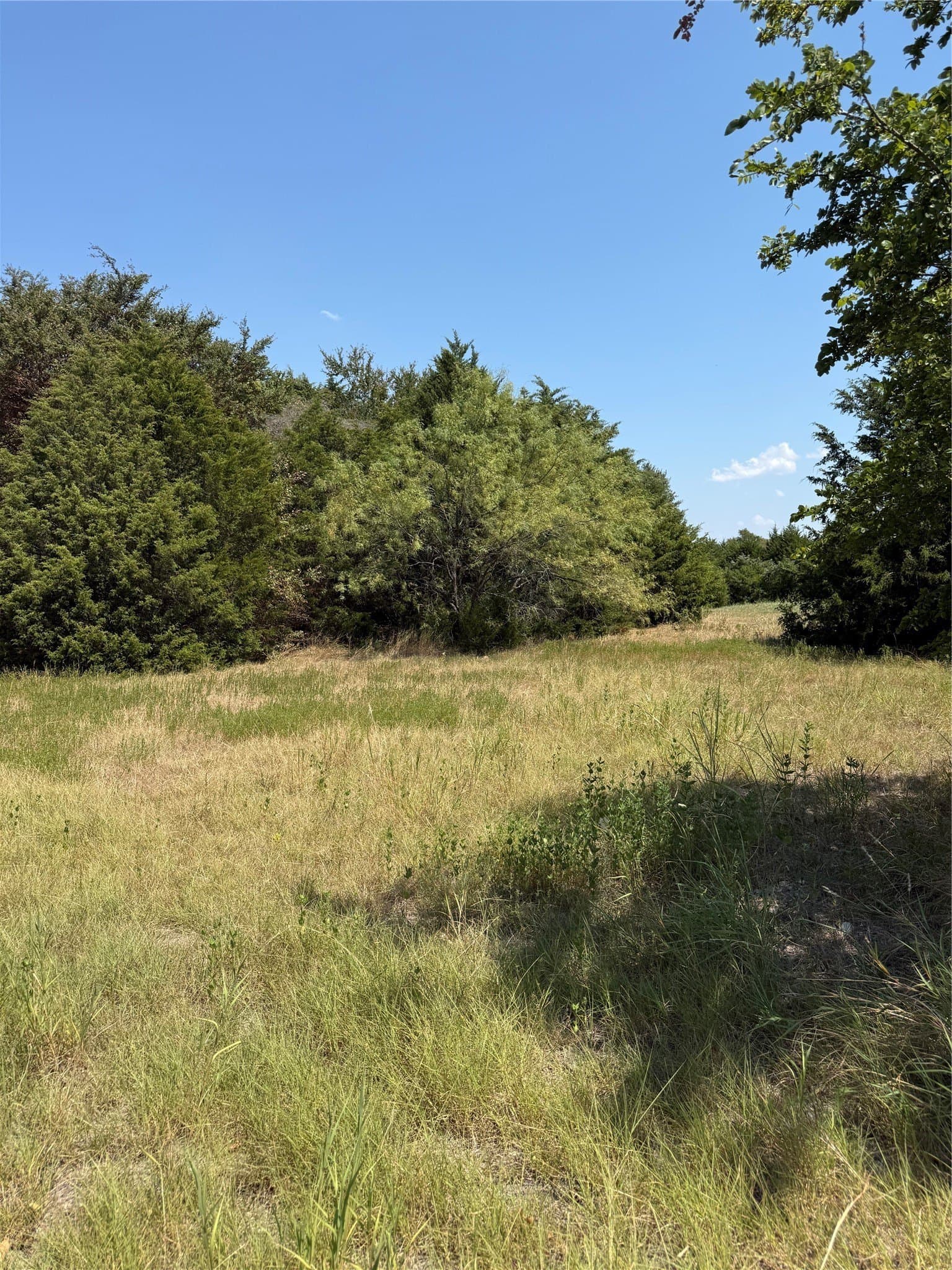 21.43 acres in Van Zandt County - photo 5